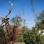 Дом отдыха Au Bout Du Bois Жале